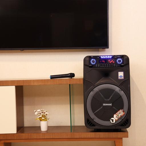 Party Speaker With Remote Omms1180